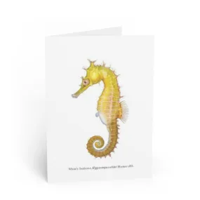 White's Seahorse Greeting Card